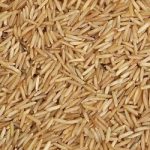 Brown basmati rice