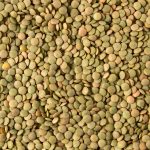 Seamless pattern of green organic lentils.